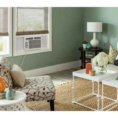 Frigidaire 5,000 BTU Window-Mounted Room Air Conditioner